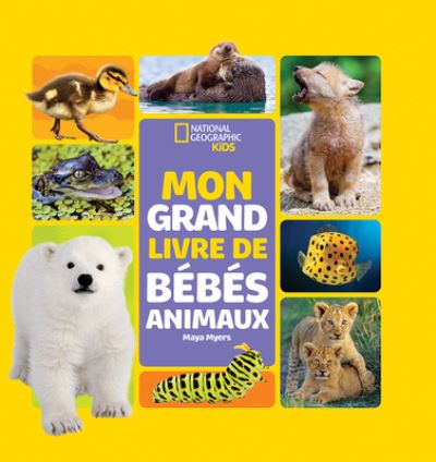 Cover for Maya Myers · National Geographic Kids: Mon Grand Livre de Bebes Animaux (Hardcover Book) (2022)