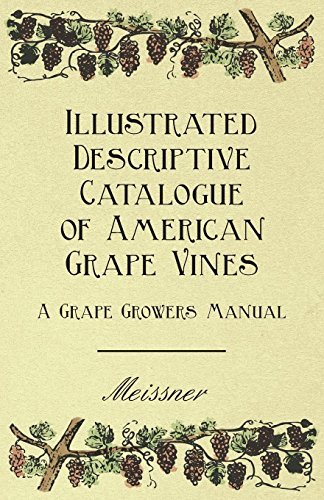 Cover for Illustrated Descriptive Catalogue of American Grape Vines - a Grape Growers Manual (Paperback Book) (2009)