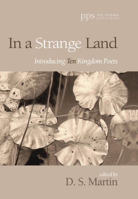 Cover for D S Martin · In a Strange Land (Innbunden bok) (2019)