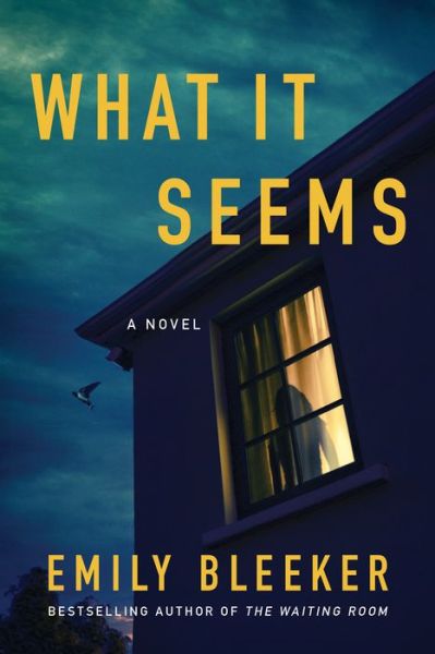 Cover for Emily Bleeker · What It Seems (Paperback Bog) (2020)