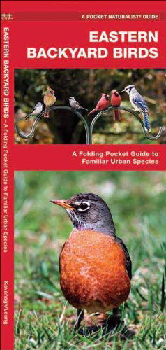 Cover for James Kavanagh · Eastern Backyard Birds: A Folding Pocket Guide to Familiar Urban Species - Pocket Naturalist Guide Series (Pamphlet) [1st edition] (2001)