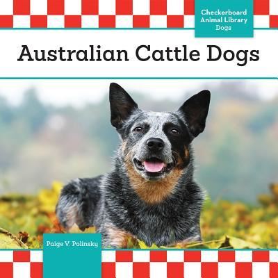 Cover for Paige V Polinsky · Australian Cattle Dogs (Hardcover Book) (2016)