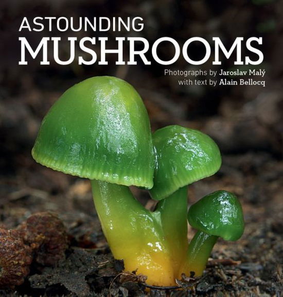 Cover for Alain Bellocq · Astounding Mushrooms (Hardcover Book) (2015)