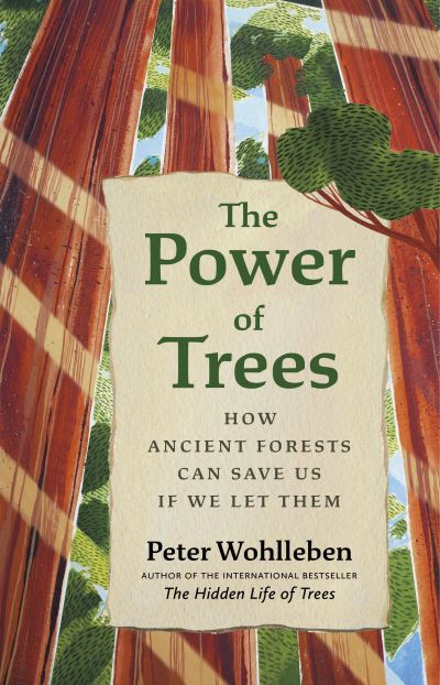 Cover for Peter Wohlleben · The Power of Trees: How Ancient Forests Can Save Us if We Let Them - From the Author of The Hidden Life of Trees (Hardcover bog) (2023)