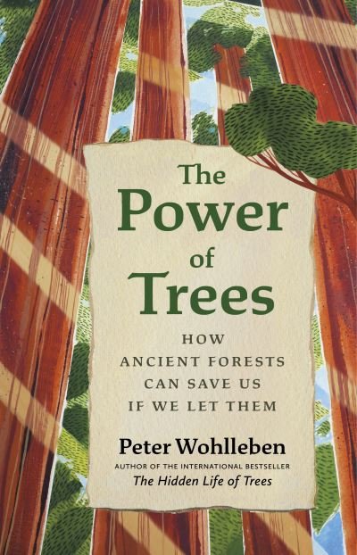 Cover for Peter Wohlleben · The Power of Trees: How Ancient Forests Can Save Us if We Let Them - From the Author of The Hidden Life of Trees (Gebundenes Buch) (2023)
