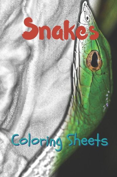 Cover for Julian Smith · Snake Coloring Sheets (Paperback Book) (2019)