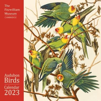 Cover for Flame Tree Studio · Fitzwilliam Museum: Audubon Birds Wall Calendar 2023 (Art Calendar) (Kalender) [New edition] (2022)