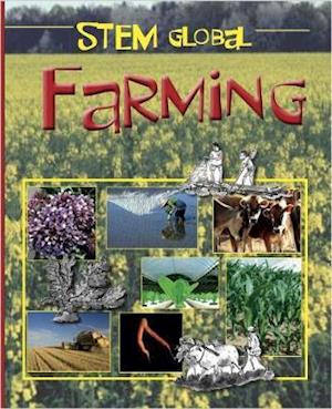 Cover for Gerry Bailey · STEM Global: Farming - STEM Global (Paperback Book) (2019)