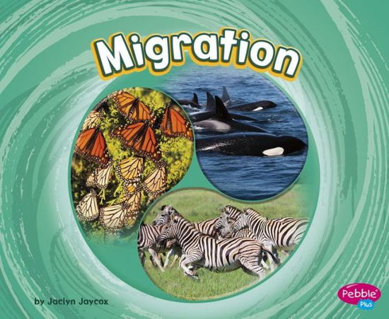 Cover for Jaclyn Jaycox · Migration (Book) (2020)