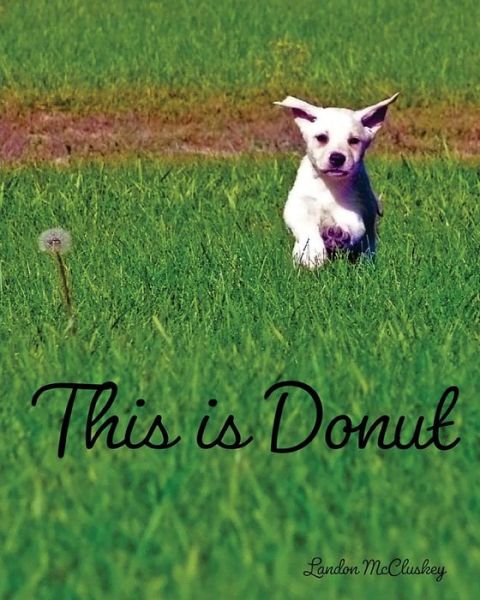 Cover for Landon McCluskey · This Is Donut (Paperback Book) (2018)