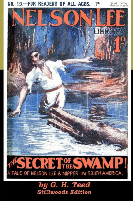 Cover for G H Teed · The Secret of the Swamp (Paperback Book) (2019)