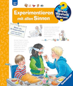 Cover for Angela Weinhold · Wieso? Weshalb? Warum?, Band 31 - Experimentieren mit allen Sinnen (Book) (2025)