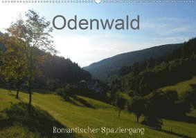 Cover for Kropp · Odenwald - Romantischer Spazierga (Book)