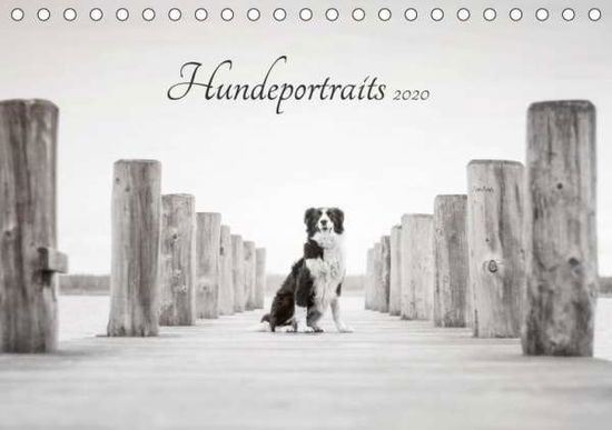 Cover for Pohle · Hundeportraits 2020 (Tischkalende (Bog)