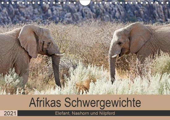 Afrikas Schwergewichte Elefant, - Kärcher - Livros -  - 9783672252748 - 