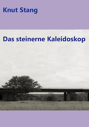 Cover for Knut Stang · Das steinerne Kaleidoskop (Hardcover Book) (2021)