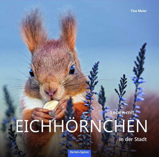 Cover for Meier · Leben mit Eichhörnchen in der Sta (Book)