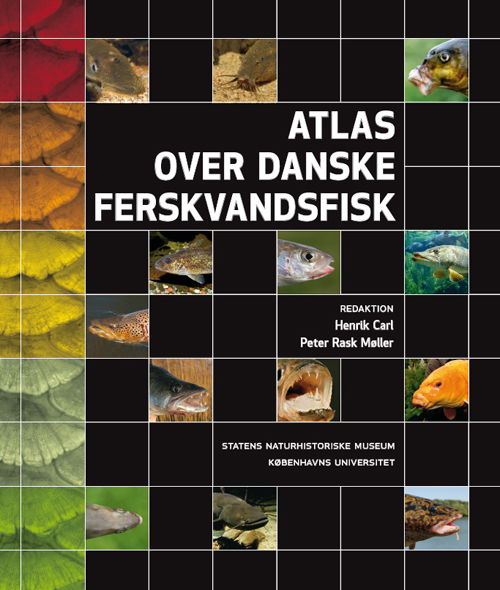 Cover for Redaktion Henrik Carl &amp; Peter Rask Møller · Atlas over danske ferskvandsfisk (Innbunden bok) [1. utgave] [Hardback] (2012)