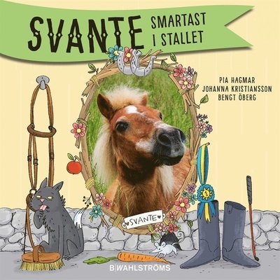 Cover for Pia Hagmar · Svante: Smartast i stallet (Hörbok (MP3)) (2017)