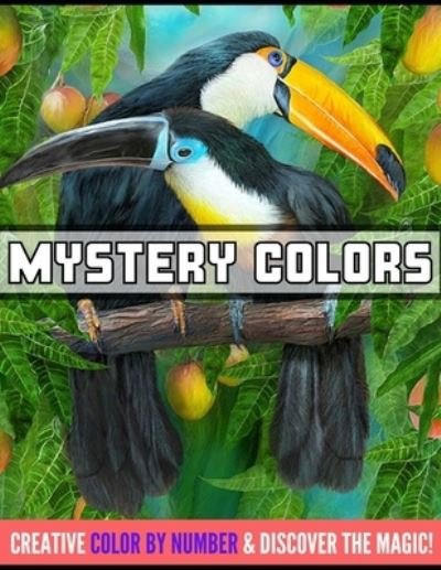 Cover for Emily Rita · Mystery colors creative color by number &amp; discover the magic (Paperback Book) (2021)