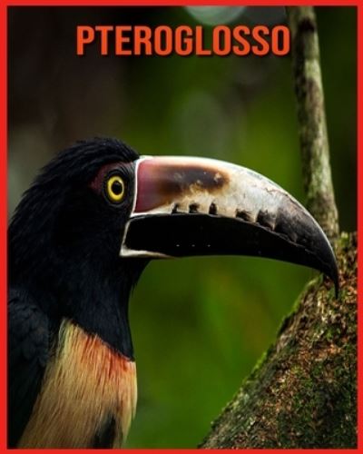 Pteroglosso: Fatti divertenti e foto incredibili degli animali nella natura - Annie Nichols - Livros - Independently Published - 9798714325748 - 27 de fevereiro de 2021