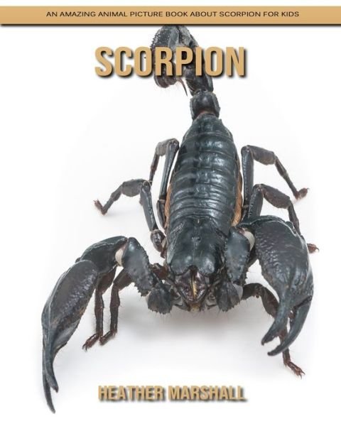 Cover for Heather Marshall · Scorpion: An Amazing Animal Picture Book about Scorpion for Kids (Paperback Book) (2021)