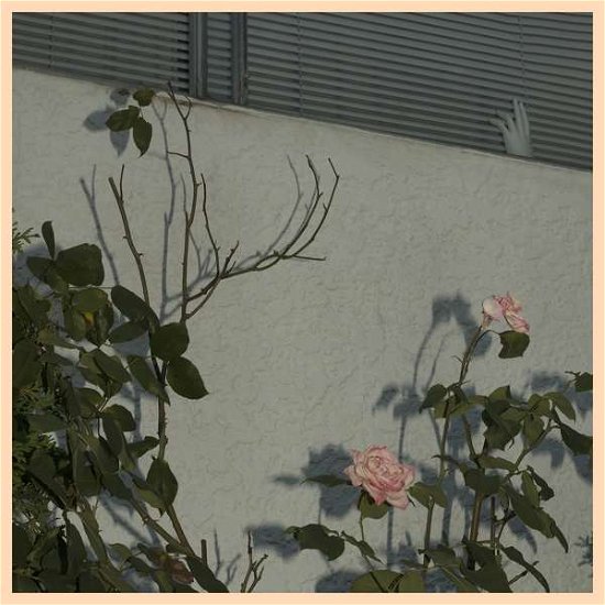 Cover for Soft Kill · Savior (CD) [Digipak] (2018)