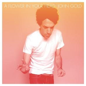 Cover for John Gold · Flower in Your Head (CD) [Japan Import edition] (2014)