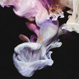 Cover for Simian Mobile Disco · Murmurations &lt;limited&gt; (CD) [Japan Import edition] (2020)