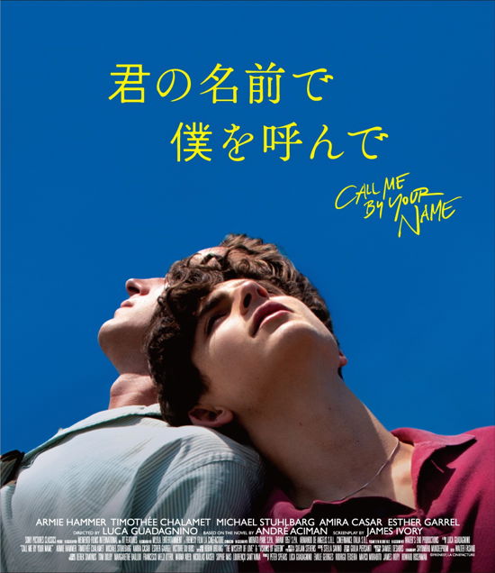 Call Me by Your Name - Timothee Chalamet - Musique - HAPPINET PHANTOM STUDIO INC. - 4907953270749 - 21 septembre 2018