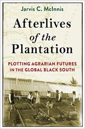 Cover for Jarvis C. McInnis · Afterlives of the Plantation: Plotting Agrarian Futures in the Global Black South - Black Lives in the Diaspora: Past / Present / Future (Hardcover Book) (2025)