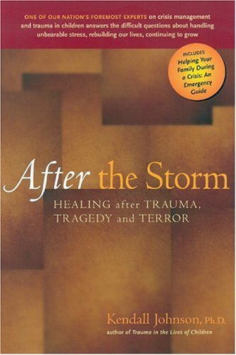 Cover for Ph.d Kendall Johnson · After the Storm: Healing After Trauma, Tragedy and Terror (Paperback Book) (2006)