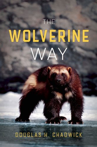 Cover for Douglas H. Chadwick · The Wolverine Way (Paperback Book) (2012)