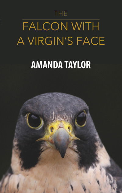 Cover for Amanda Taylor · The Falcon with a Virgin's Face (Pocketbok) (2018)