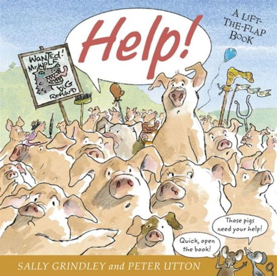 Cover for Sally Grindley · Help!: Lift-the-Flap Book (Paperback Book) (2016)