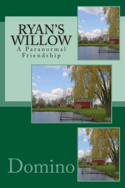 Ryan's Willow - Domino - Books - Createspace - 9781491272749 - August 3, 2013