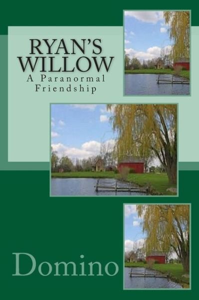 Cover for Domino · Ryan's Willow (Pocketbok) (2013)