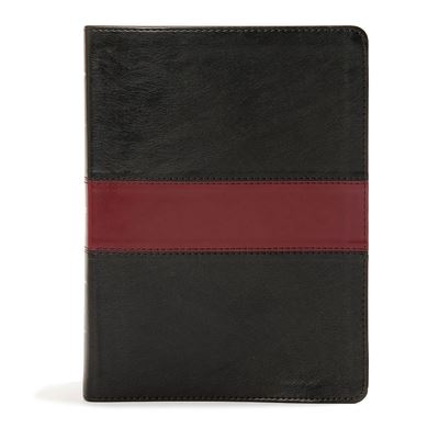 Cover for CSB Bibles by Holman CSB Bibles by Holman · KJV Apologetics Study Bible, Black / Red Leathertouch (Lederbuch) (2019)