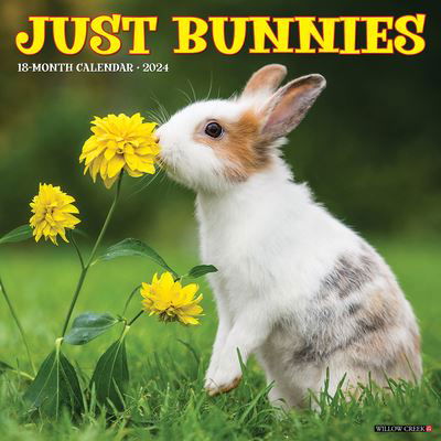Cover for Willow Creek Press · Just Bunnies 2024 12 X 12 Wall Calendar (Calendar) (2023)