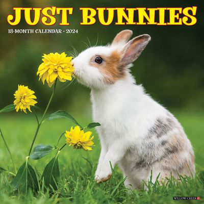 Just Bunnies 2024 12 X 12 Wall Calendar - Willow Creek Press - Gadżety - Willow Creek Press - 9781549232749 - 1 sierpnia 2023