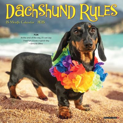 Willow Creek Press · Dachshund Rules 2025 7 X 7 Mini Wall Calendar (Calendar) (2024)