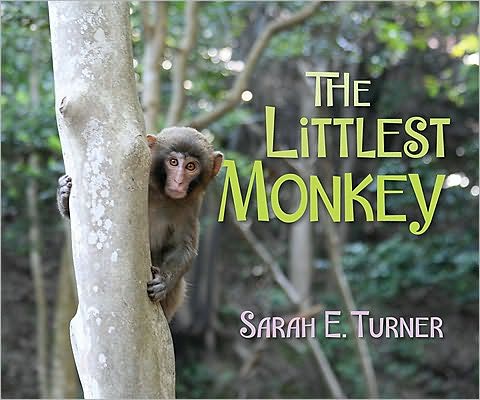 Cover for Sarah Turner · The Littlest Monkey (Paperback Book) (2010)