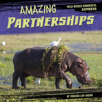 Cover for Virginia Loh-Hagan · Amazing Partnerships (Book) (2023)