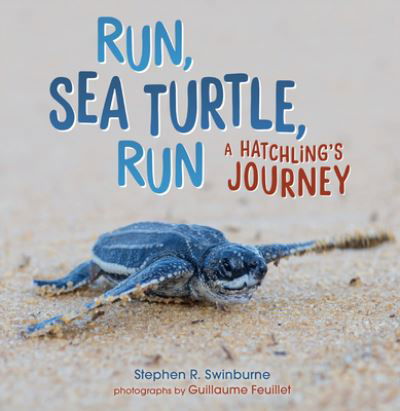 Cover for Stephen R. Swinburne · Run, Sea Turtle, Run (Book) (2024)