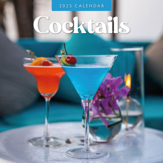 Cover for Red Robin · Cocktails 2025 Square Wall Calendar (Taschenbuch) (2024)