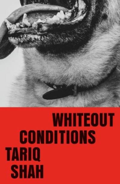 Cover for Tariq Shah · Whiteout Conditions (Taschenbuch) (2021)