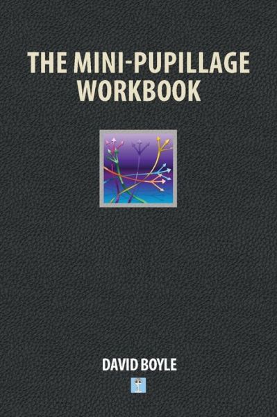 Cover for David Boyle · The Mini-Pupillage Workbook (Paperback Book) (2019)