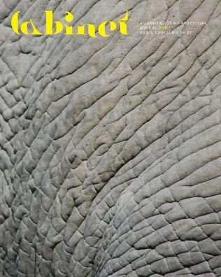 Cover for Sina Najafi · Cabinet 66 (Taschenbuch) (2020)