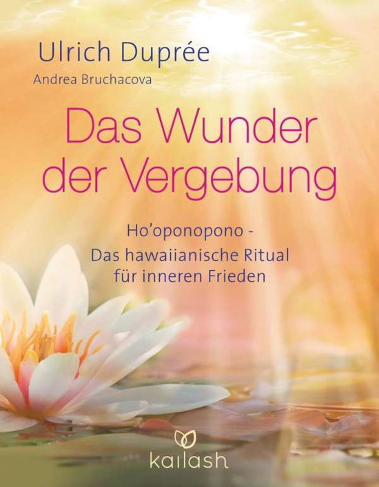 Cover for Duprée · Das Wunder der Vergebung (Book)