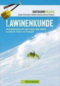 Cover for Harvey · Lawinenkunde (Book)